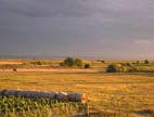 Abendstimmung vom Gästebalkon aus in die Puszta